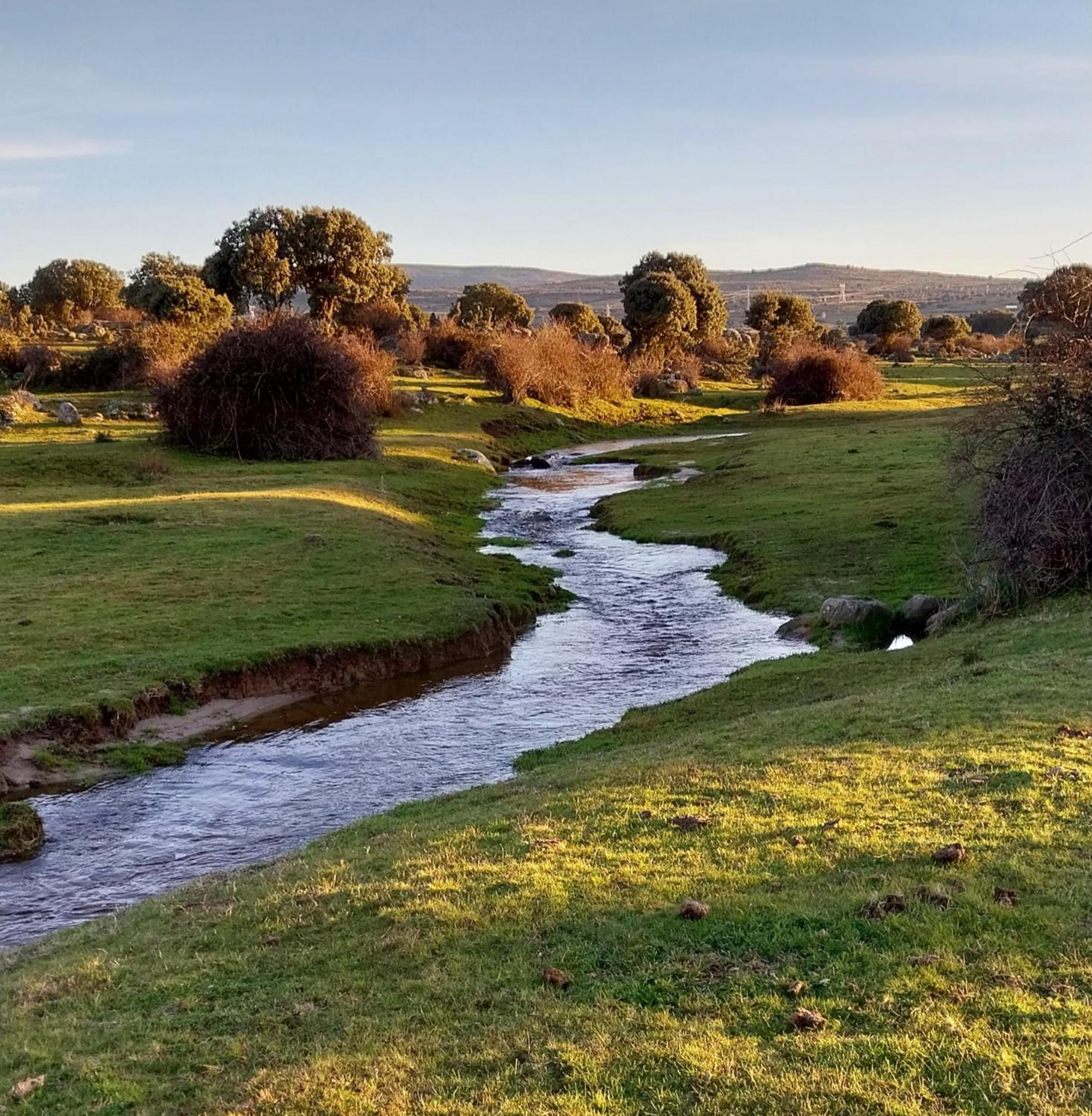 Piso Navas 2 Lägenhet Navas de San Antonio Exteriör bild